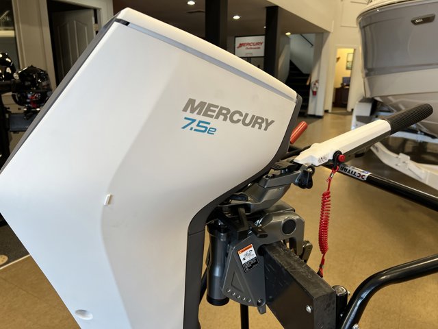Mercury Avator 7.5e Electric